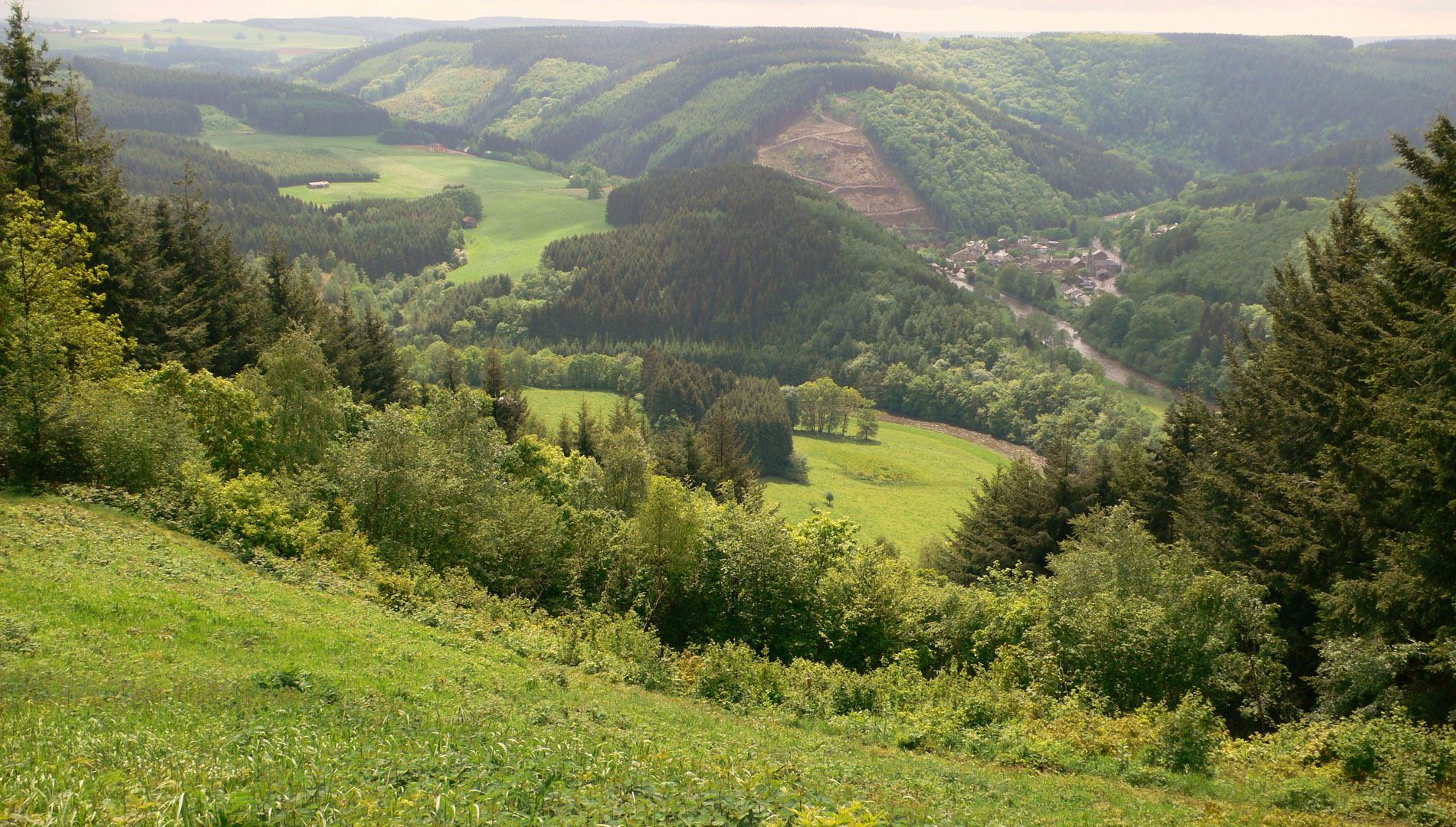 Marche Nordique sur l'Escapardenne