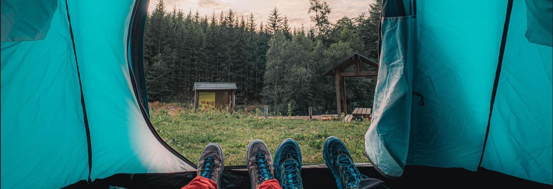 Bivouac en forêt de St Hubert