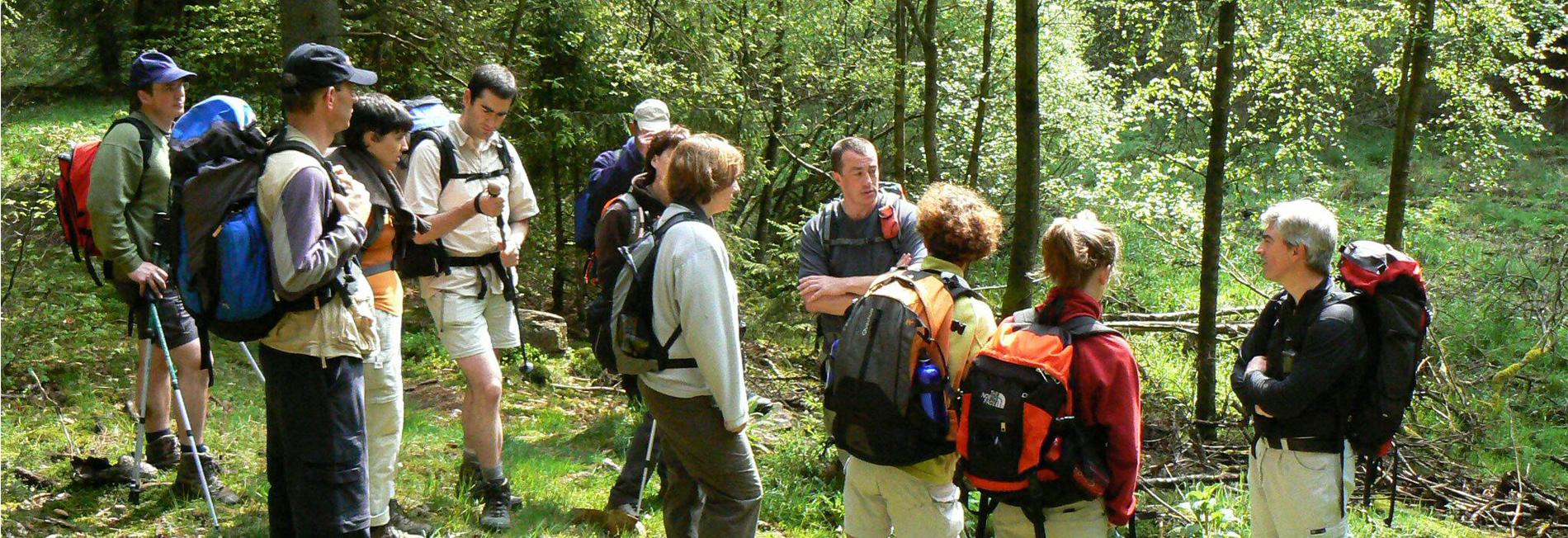 En forêt d'Anlier